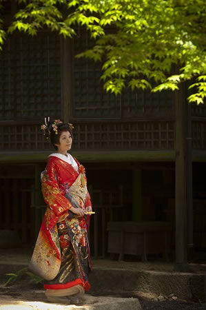 日枝神社の木々を見つめる赤い色打掛の花嫁
