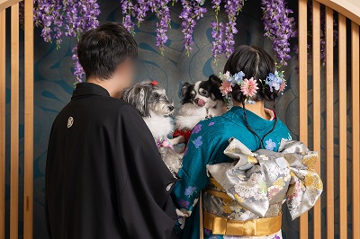 青緑色のリメイク引き振袖を着た花嫁と花婿とワンちゃん
