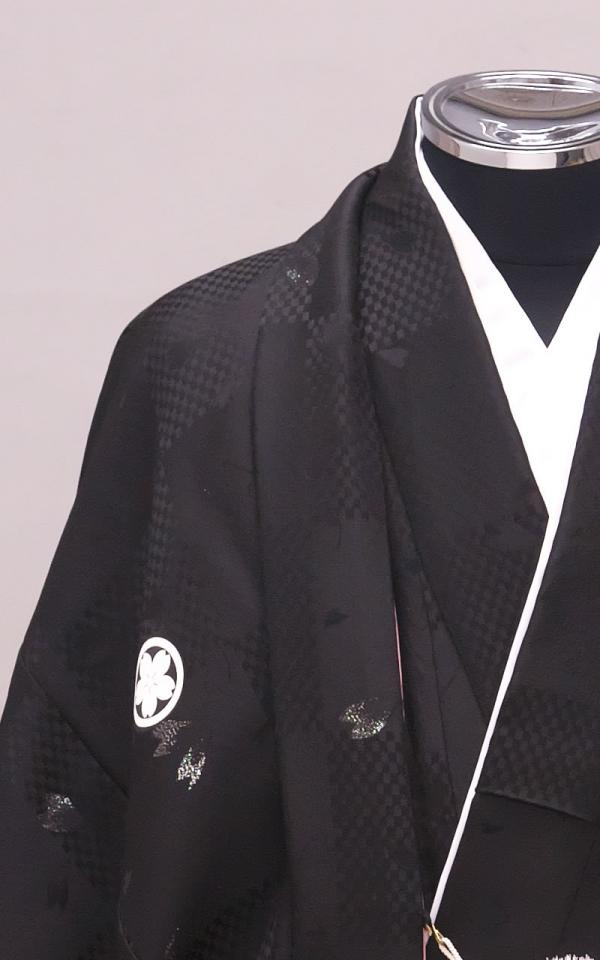桜舞う黒紋付